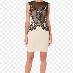 Lipsy London lace edge silhouette dress